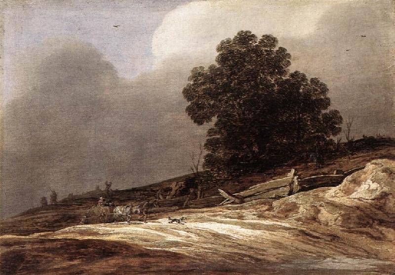 MOLYN, Pieter de Dunes g France oil painting art